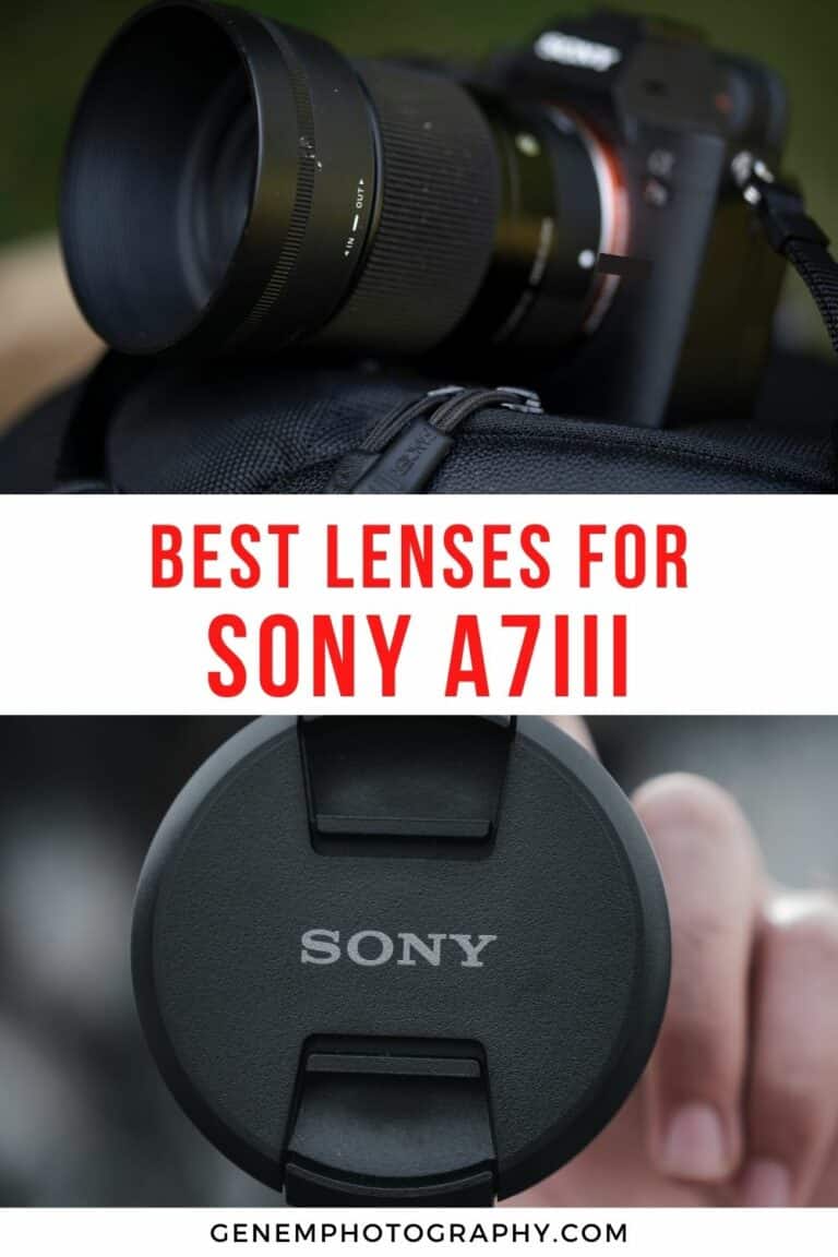 16 Best Lenses For Sony A7III 2023 Guide Genem Photography