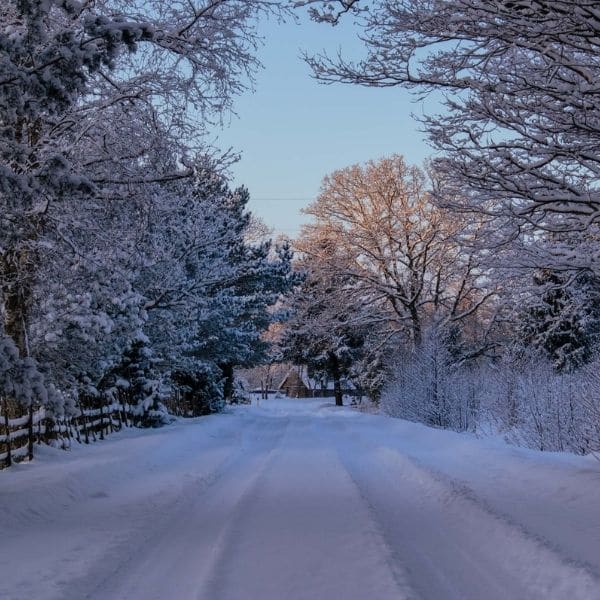 Winter