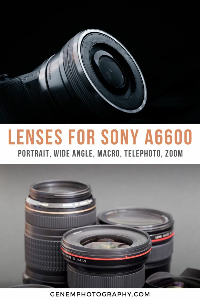 best prime lens for sony a6600