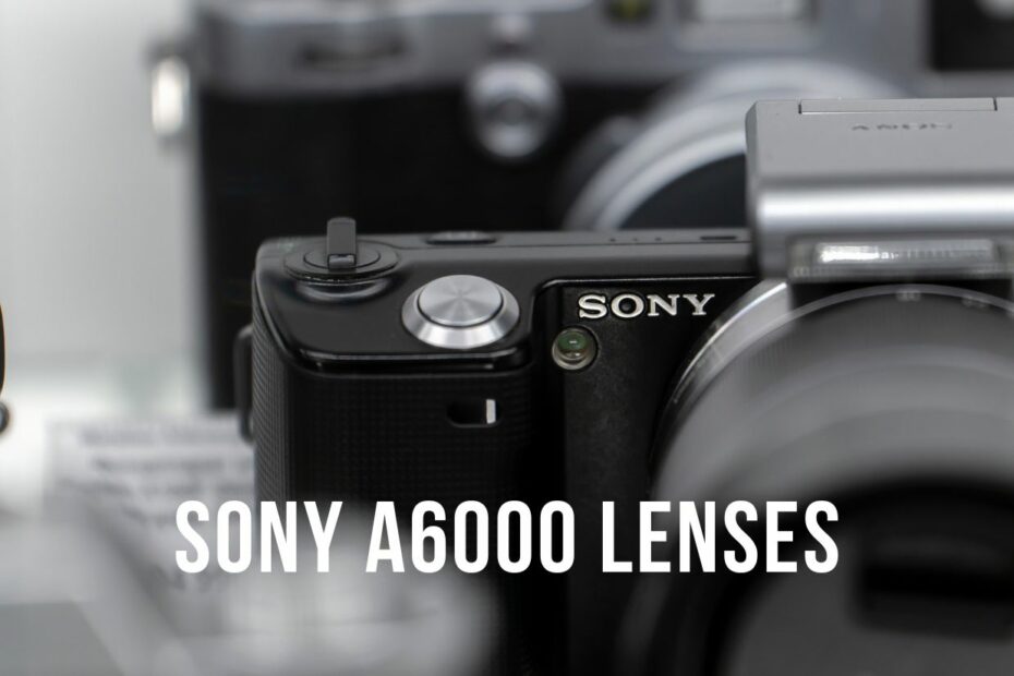 sony a6000 lenses