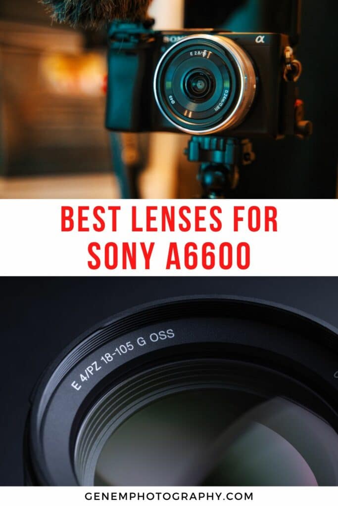 sony a6600 lens