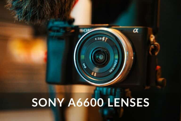 sony a6600 lenses