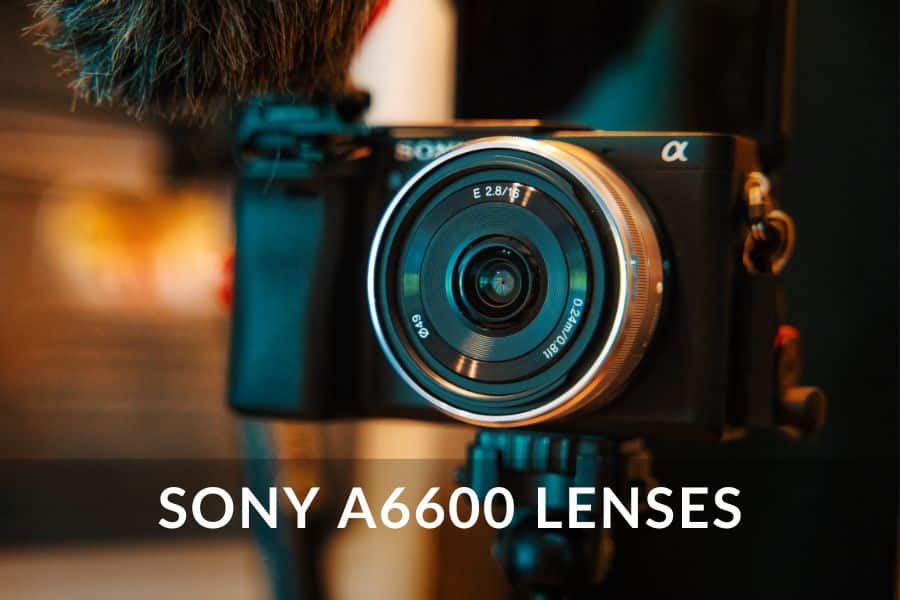 sony a6600 lenses