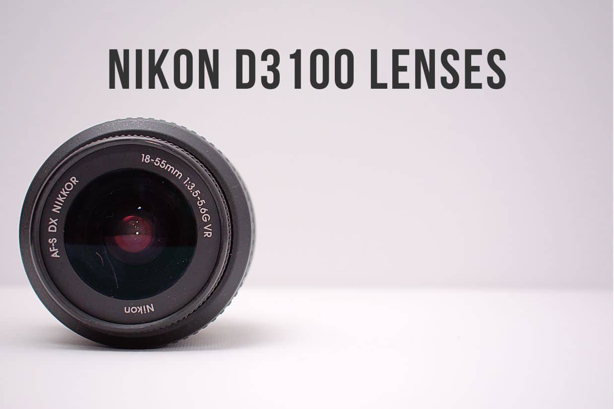 Nikon D3100 lenses