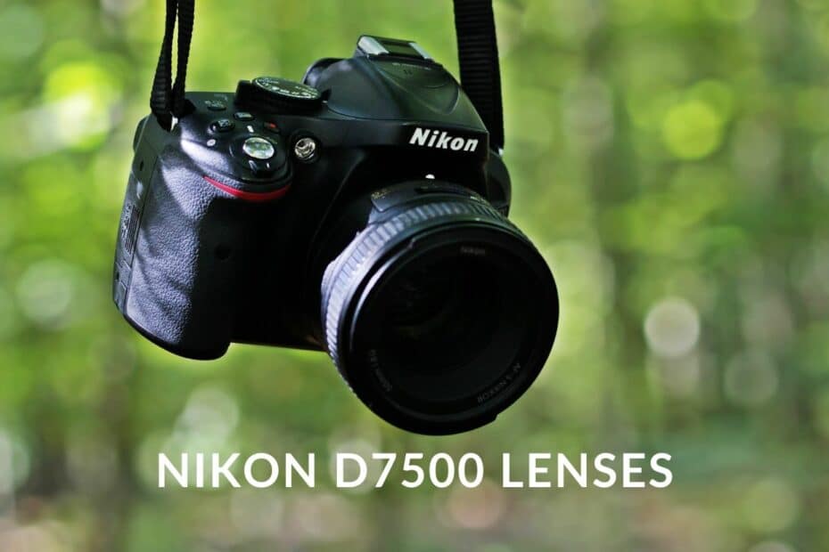 Nikon D7500 lenses