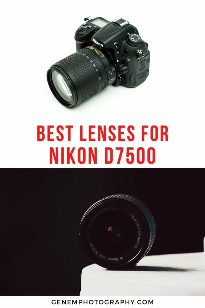 best lenses for nikon d7500