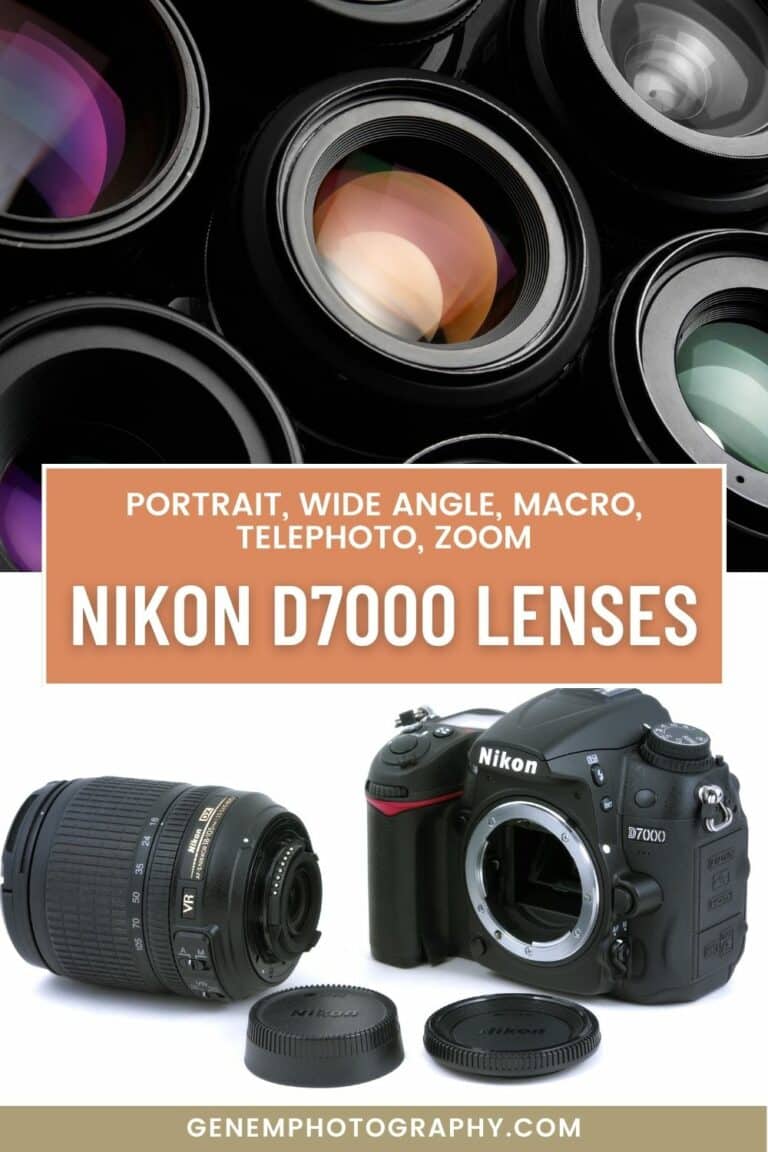 10 Best lenses for Nikon D7000 [updated 2024] Genem Photography