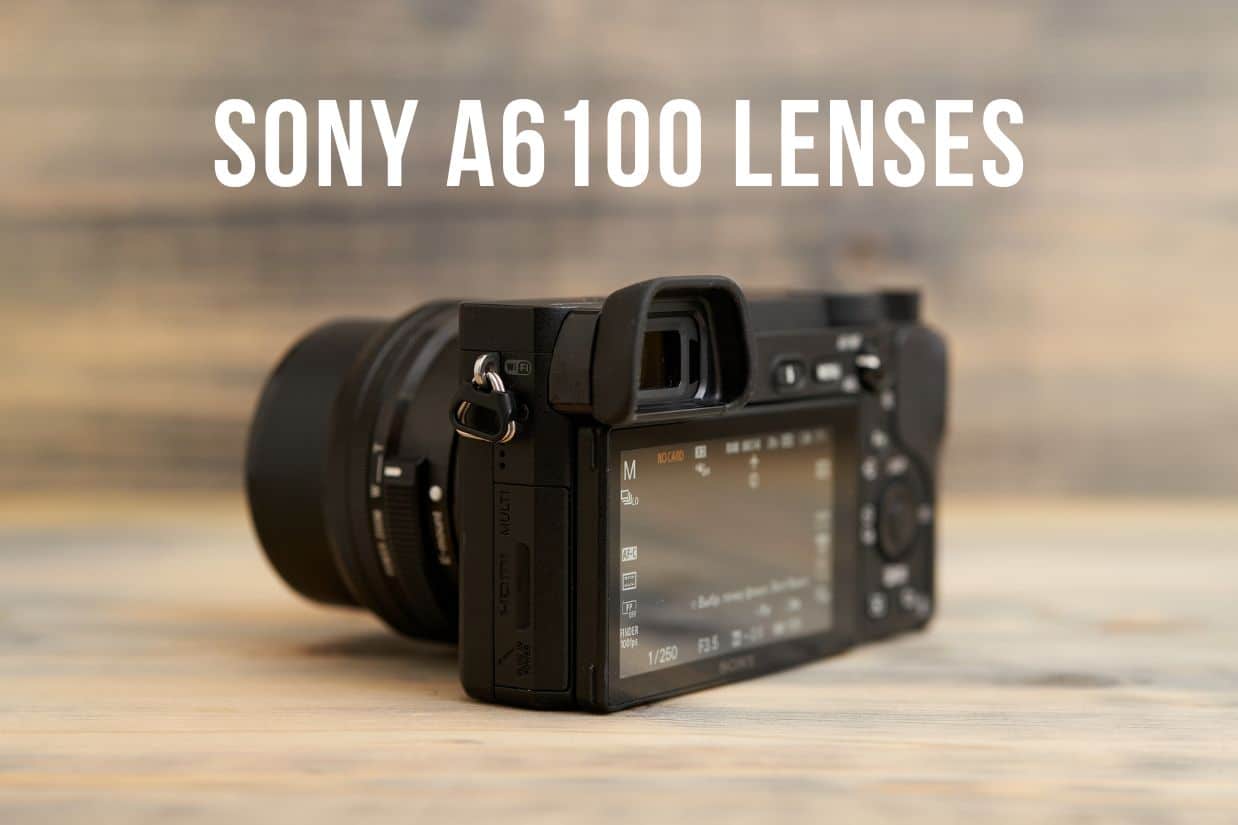 sony a6100 lenses