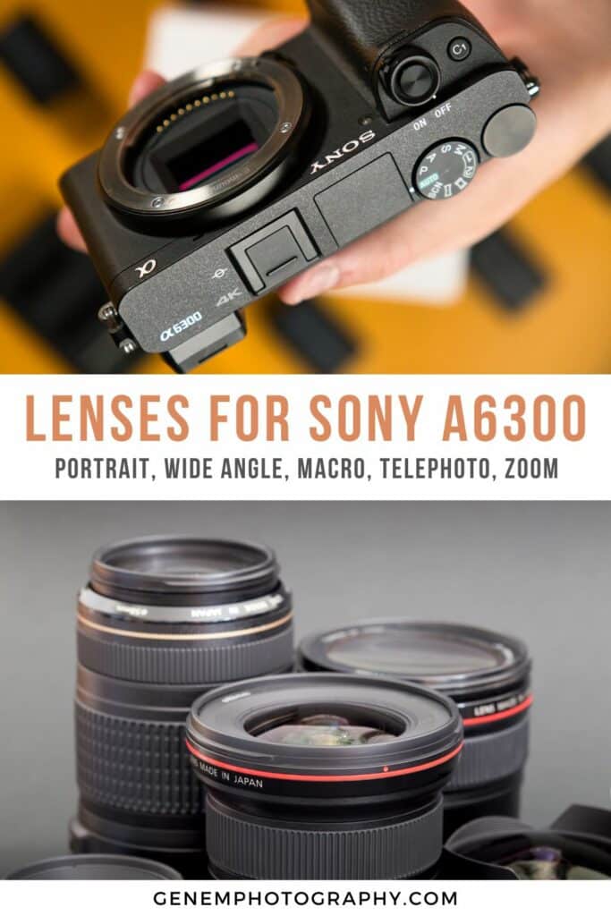 best sony a6300 lens for video