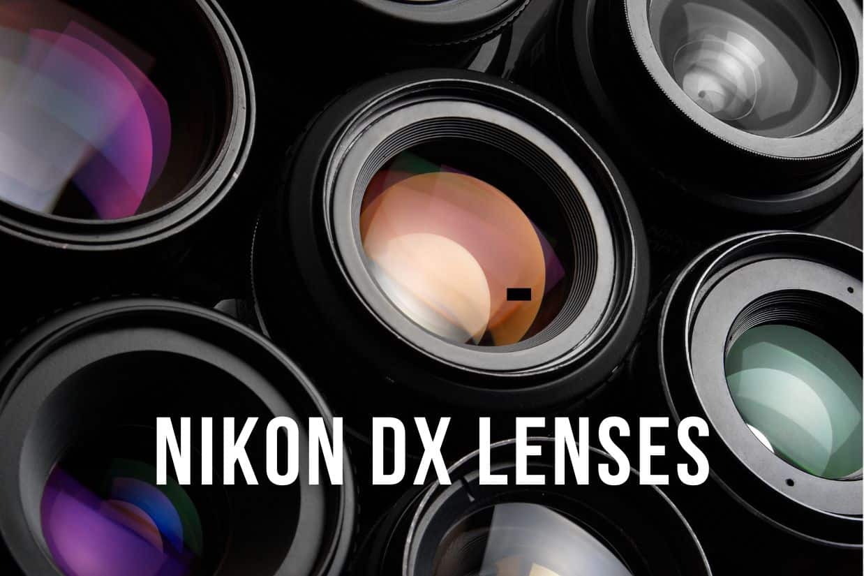 Nikon DX lenses
