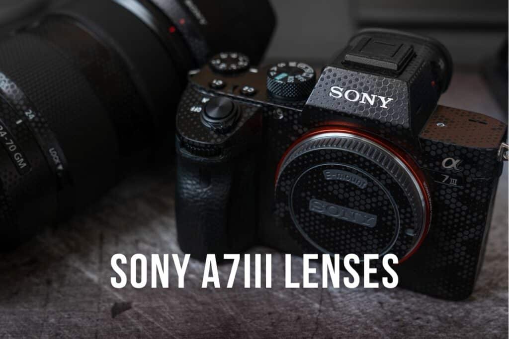14 Best lenses for Sony a6600 [2023] Genem Photography