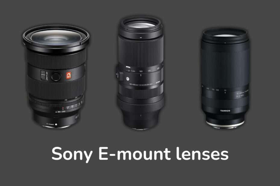 Sony e-mount lenses list
