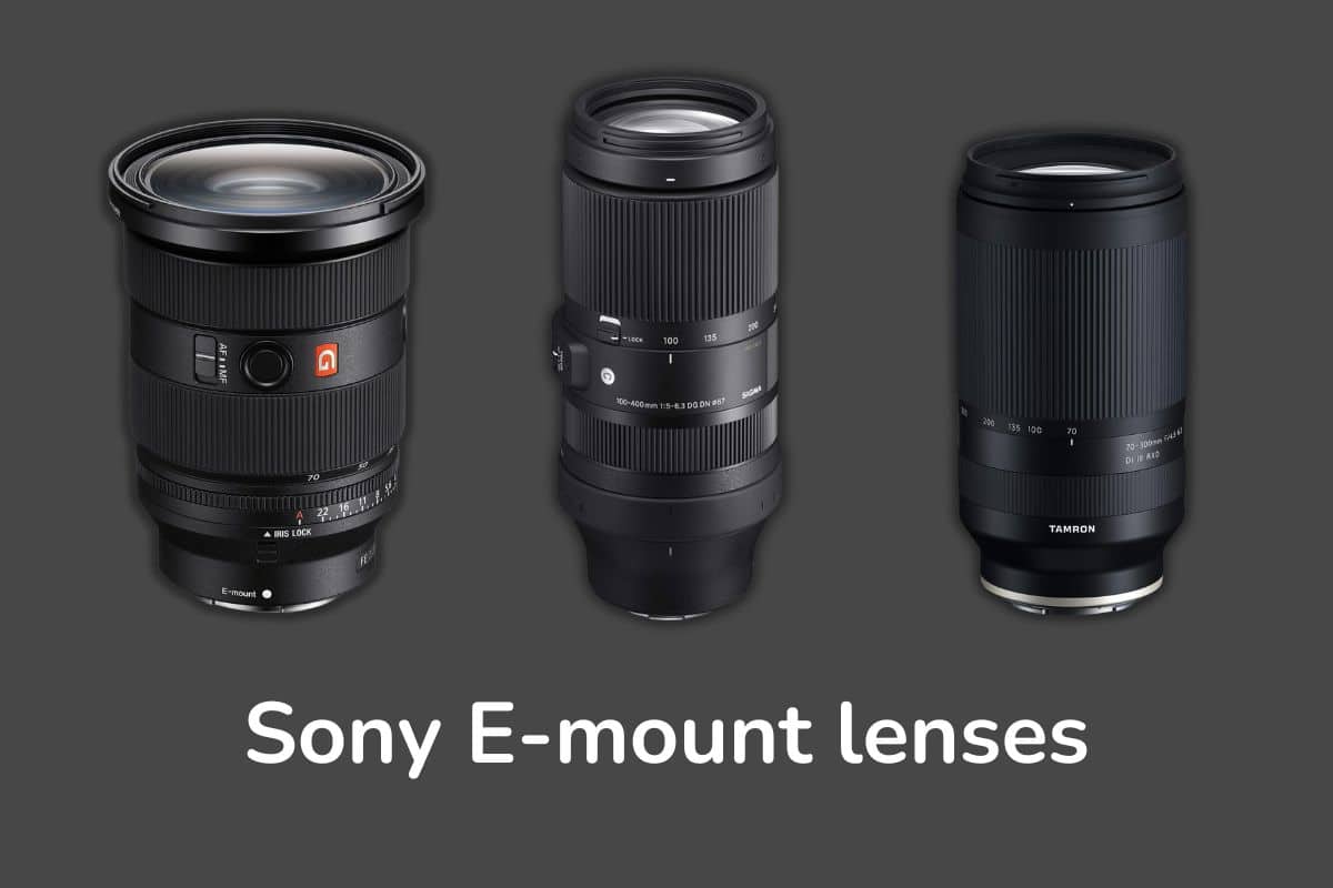 Sony e-mount lenses list